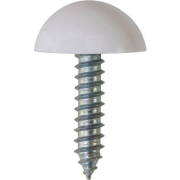 Number Plate Screws With Domes & Cups