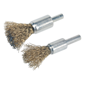 Sealey Decarbonising Brush Set 2pc